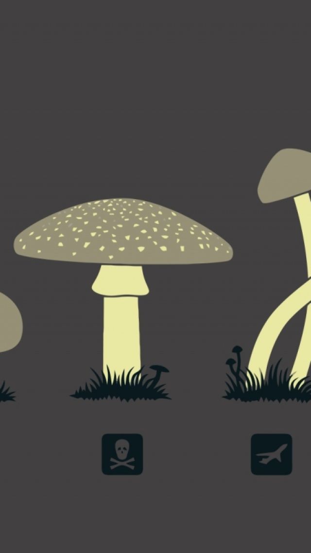 Magic Mushrooms iPhone 5 Wallpaper ID 21274