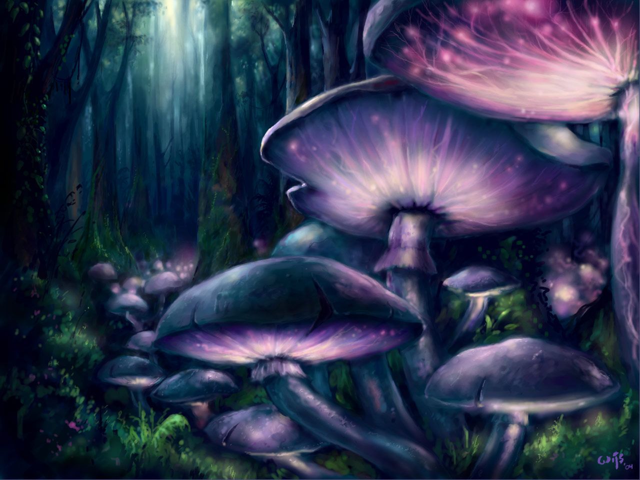 Mushrooms - DeviantArt