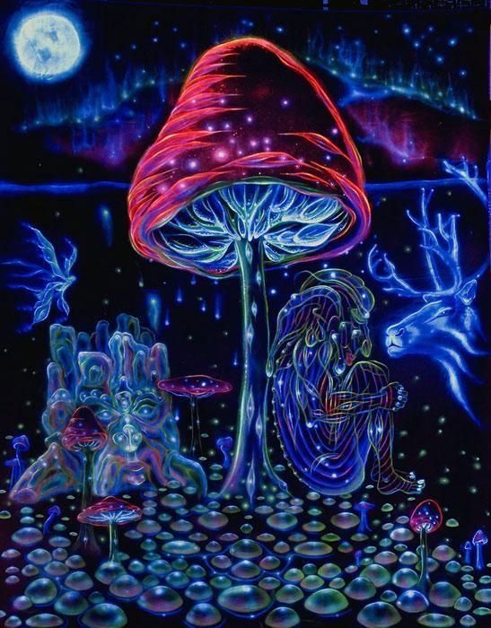 Psychedelic Mushroom | Psy//Dream//Trippy | Pinterest ...