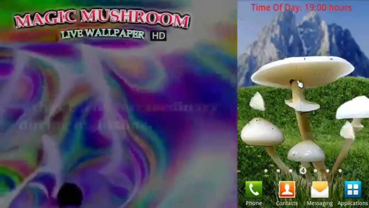 Magic Mushrooms Live Wallpaper HD - YouTube
