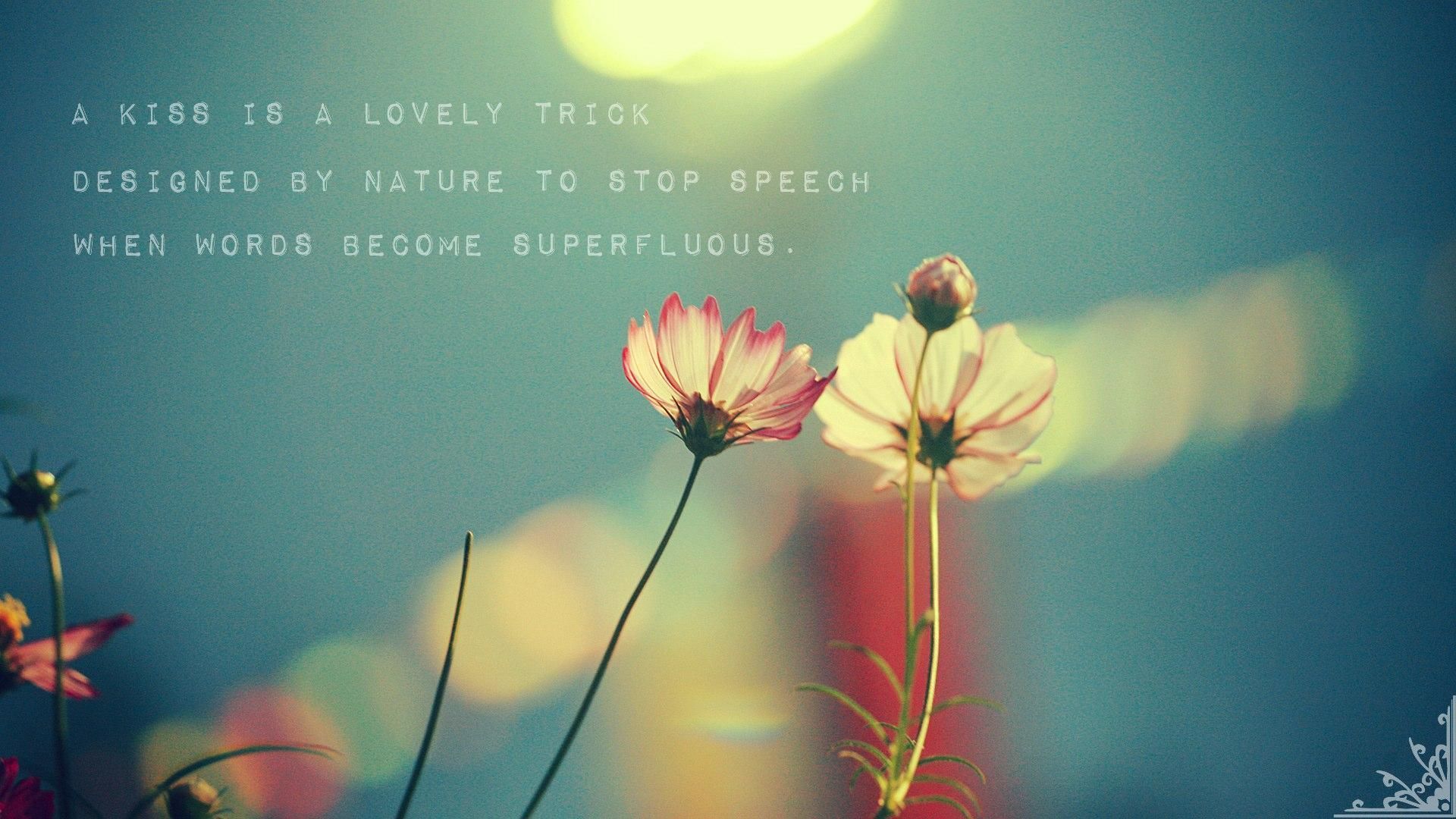 Cute Quote Backgrounds Background Images | HD Wallpapers Range
