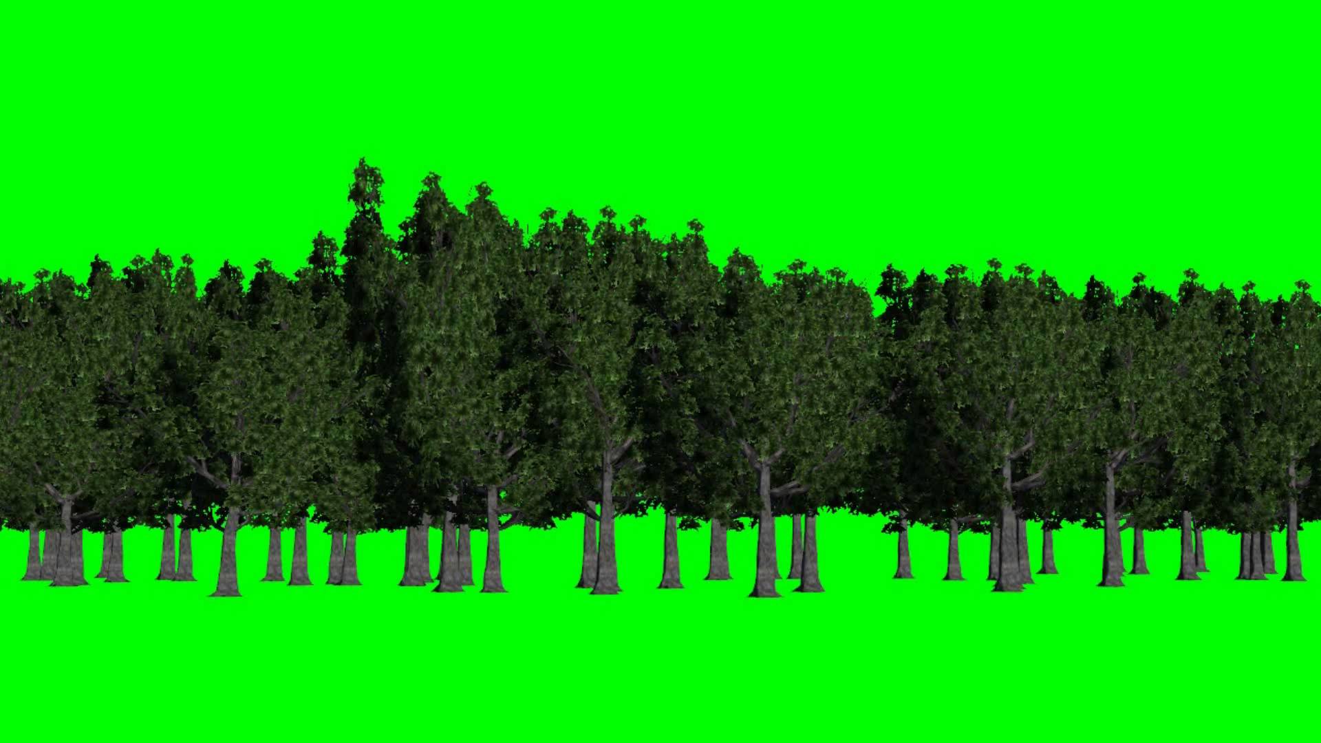 forest green screen - background green and blue - free green ...