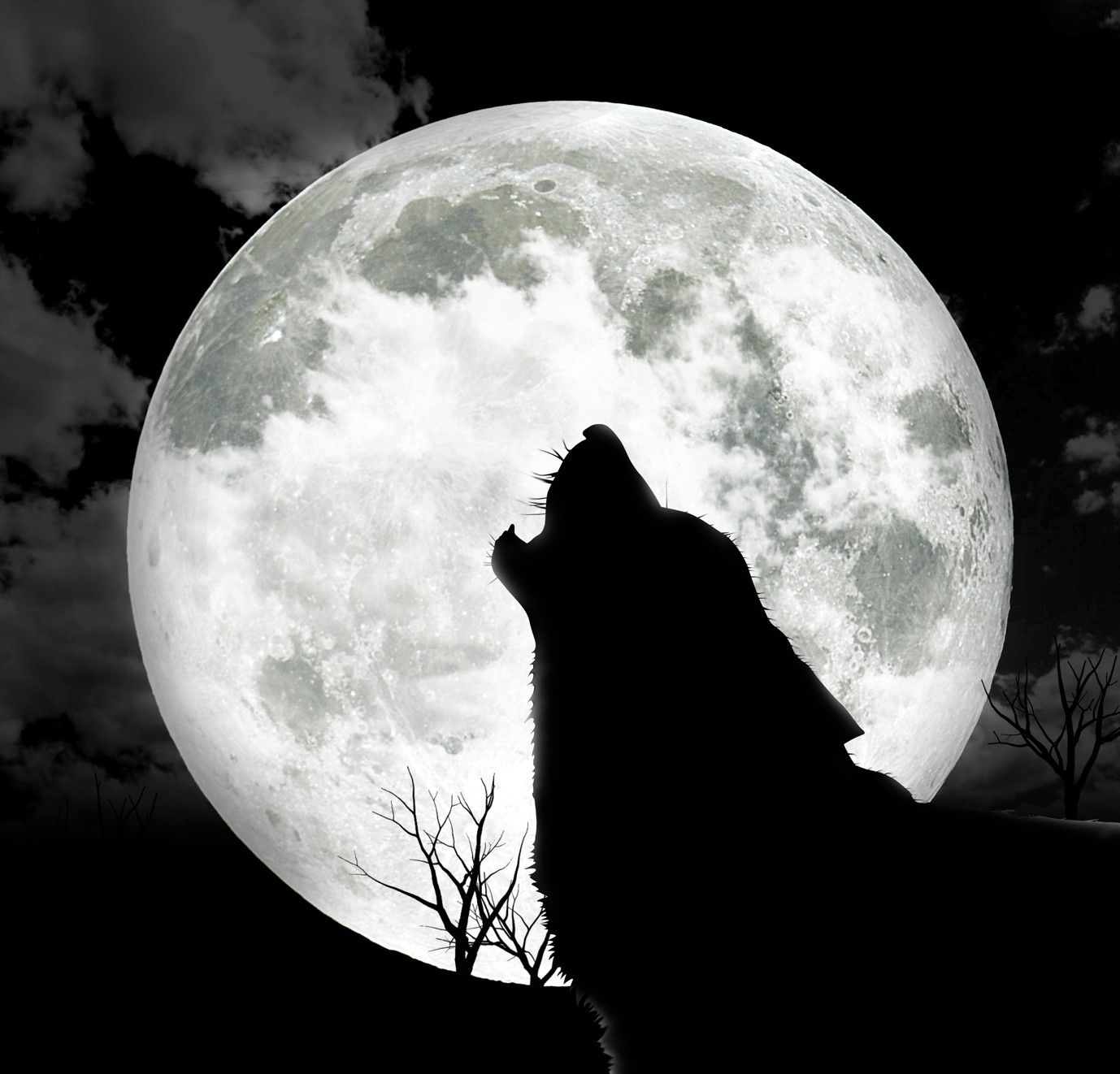 Dogs: Wolf Dark Moon Night Free Download Wallpaper for HD 16:9 ...