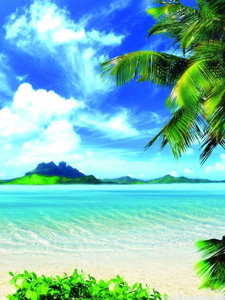 Summer Vacation HD desktop wallpaper Widescreen High resolution