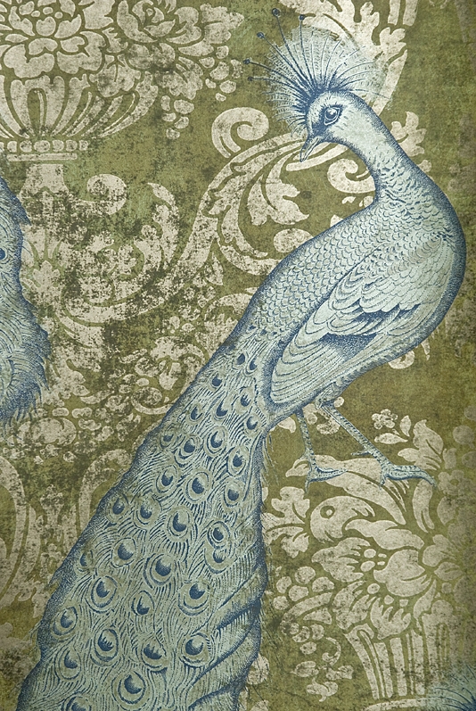 Byron Peacock Wallpaper in Sky Blue | Cole & Son Albemarle ...