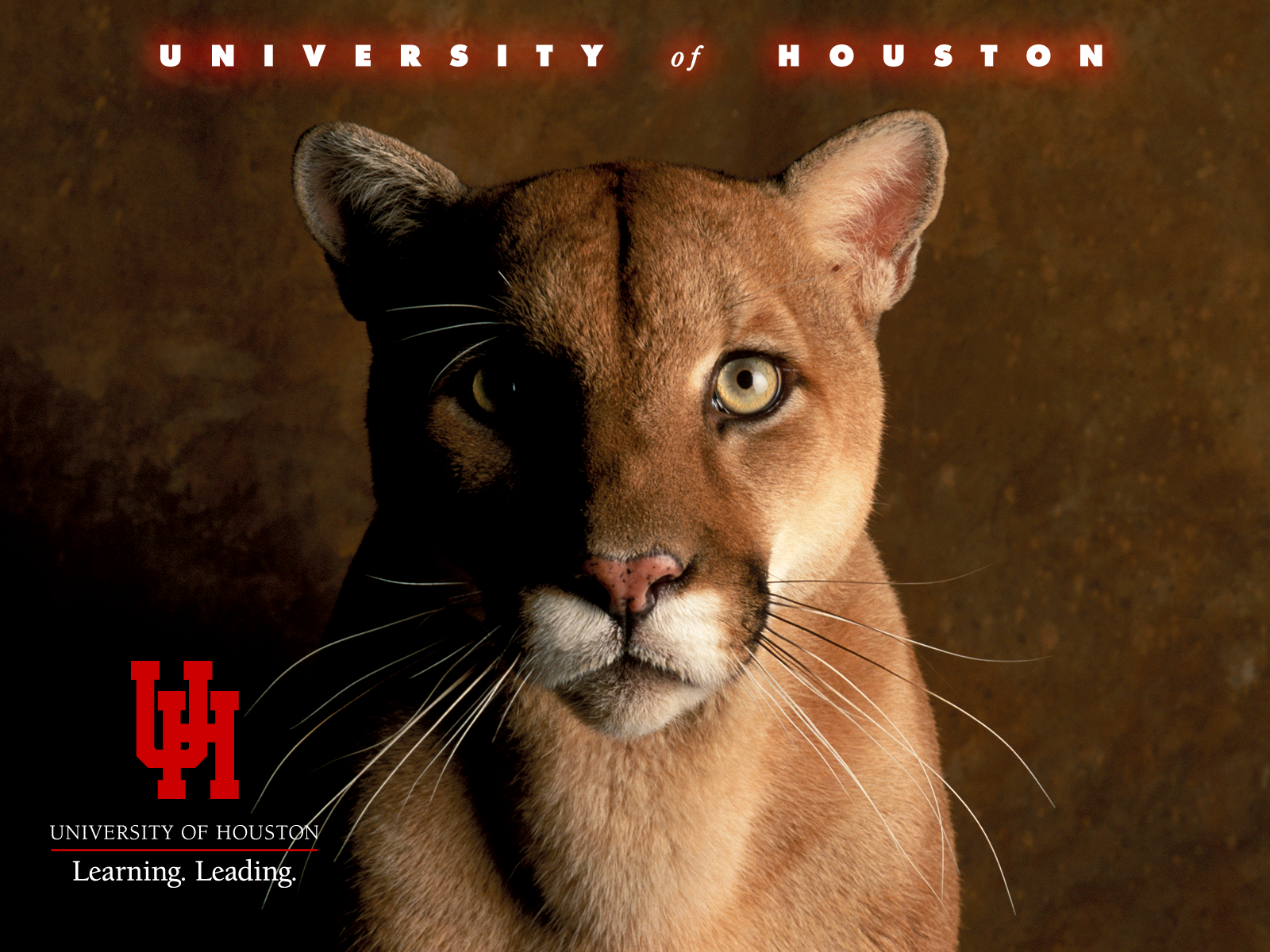 University of Houston - Themes, Screensavers, Desktop Backgrounds