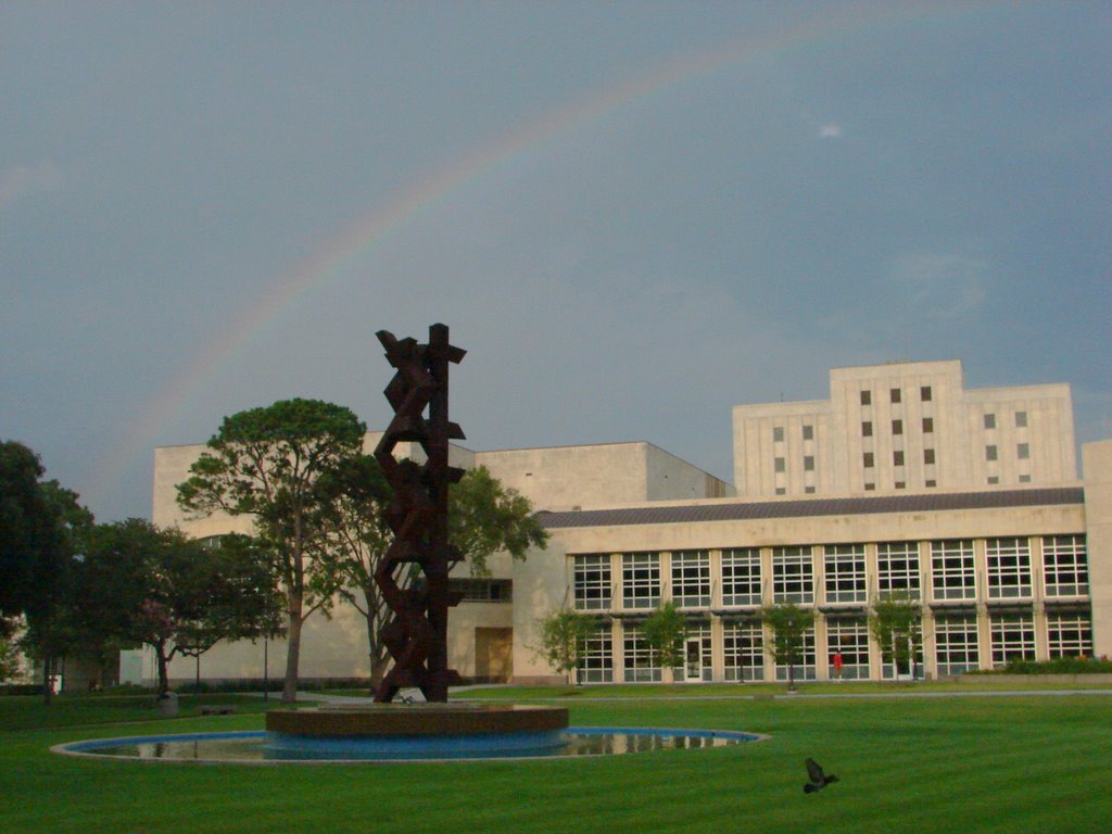 Panoramio - Photo of University of Houston M.D. Anderson Library