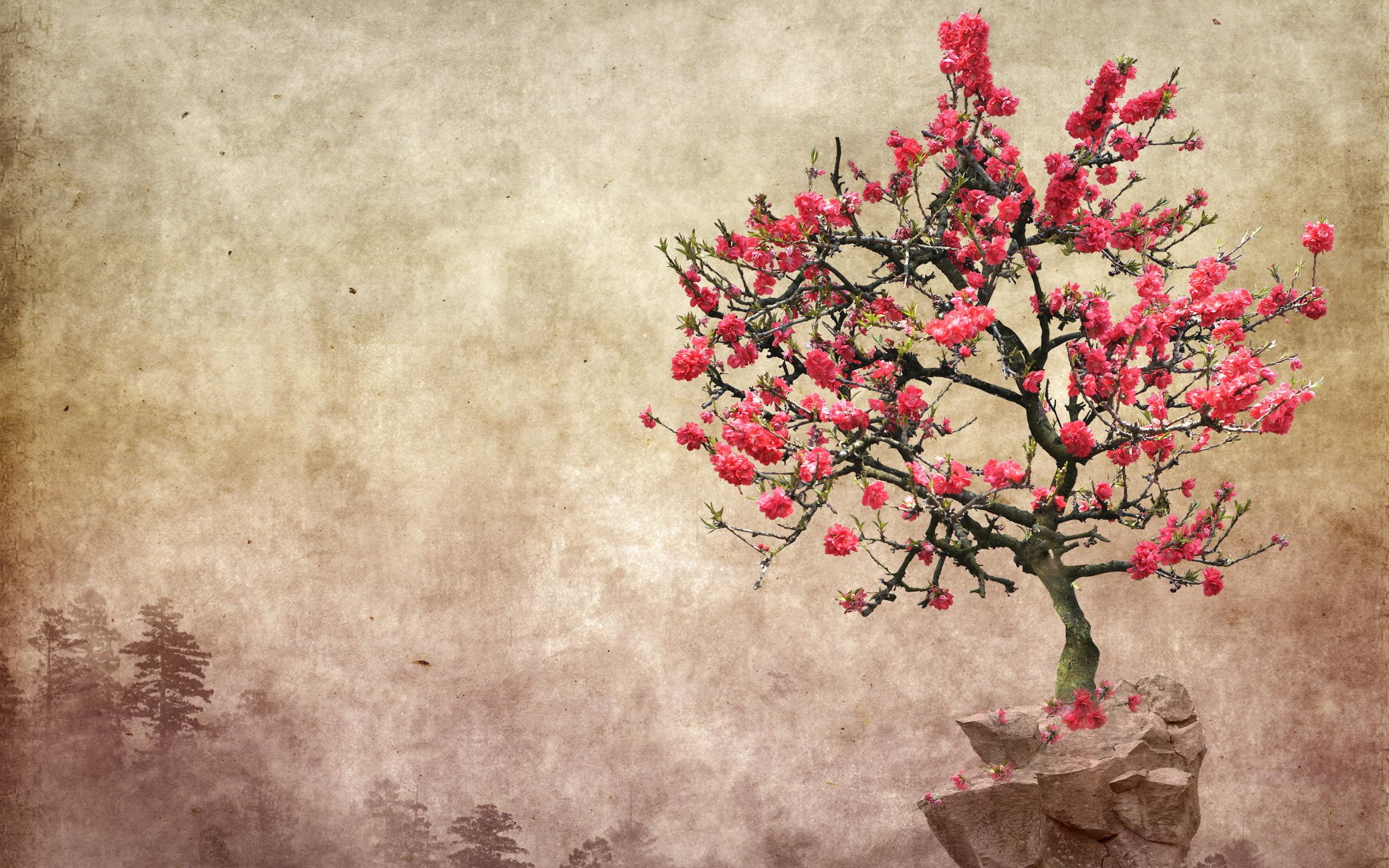 Flower Tree >> HD Wallpaper, get it now!