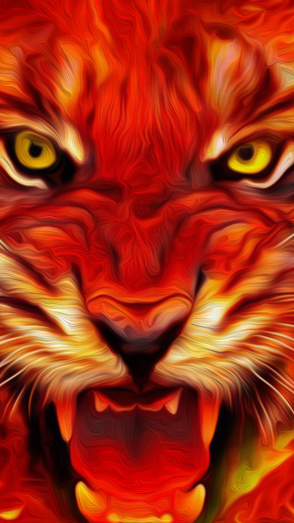 Tiger Backgrounds Pictures