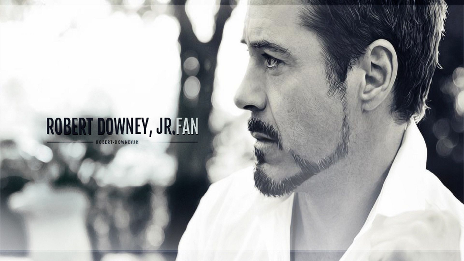 Celebrity Robert Downey Jr HD Wallpaper
