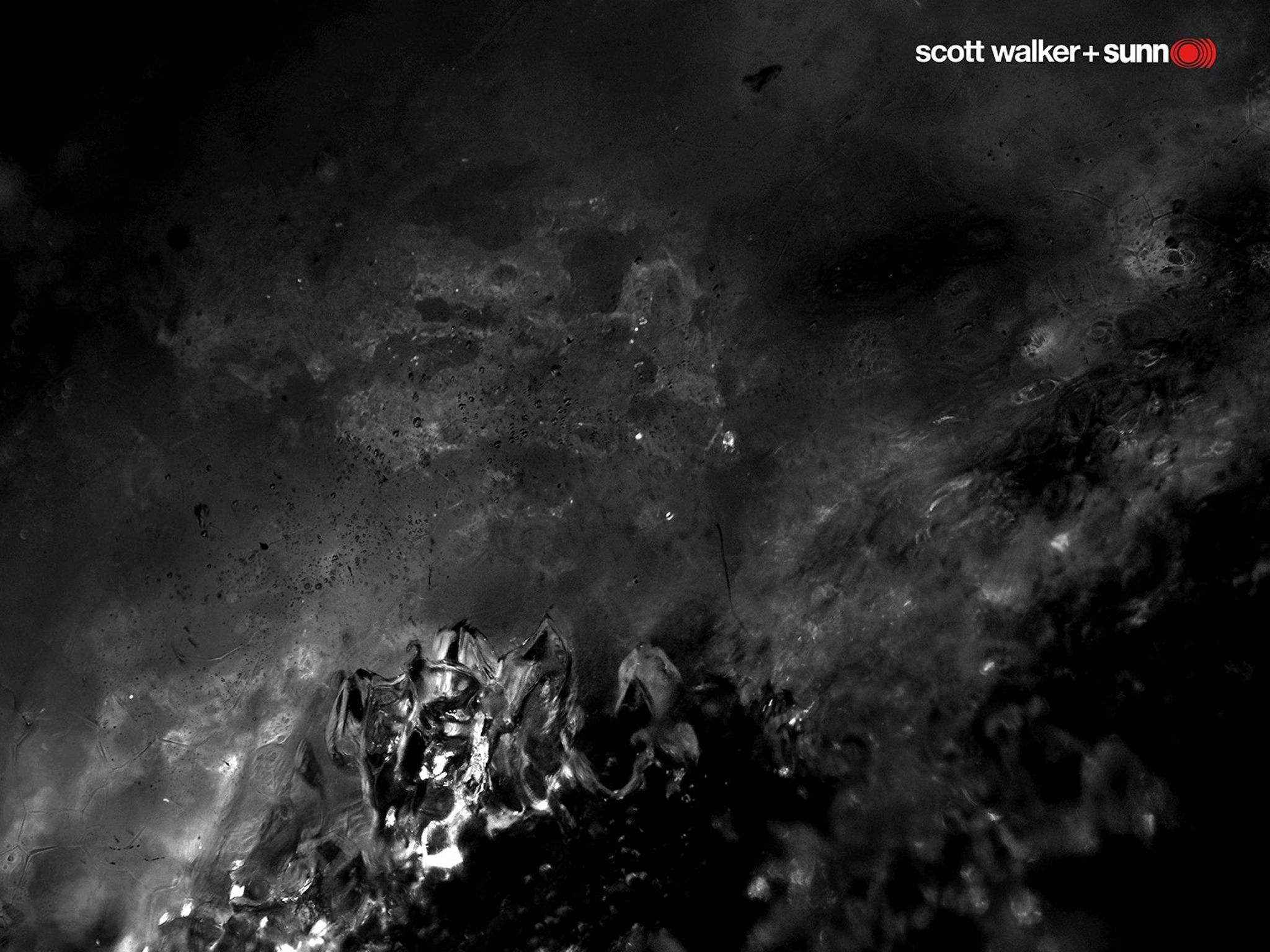 Scott Walker Sunn O, Soused, album review A brilliant avant