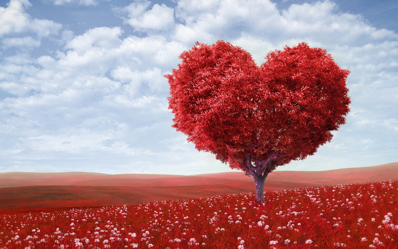 Beautiful Red Heart Tree Wallpaper | Download cool HD wallpapers here.