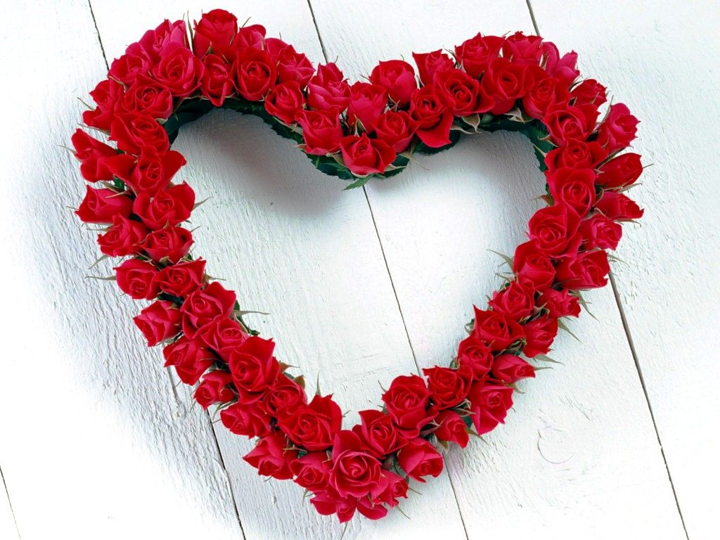 Valentine Roses Wallpapers Beautiful Red Roses photos of Valentine ...