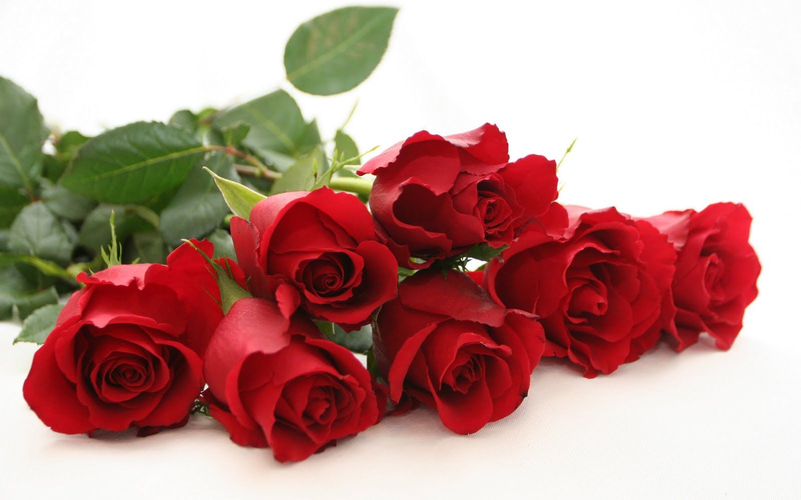 Red Roses Beautiful Red Rose Wide Hd New Wallpaper Red Rose Free ...