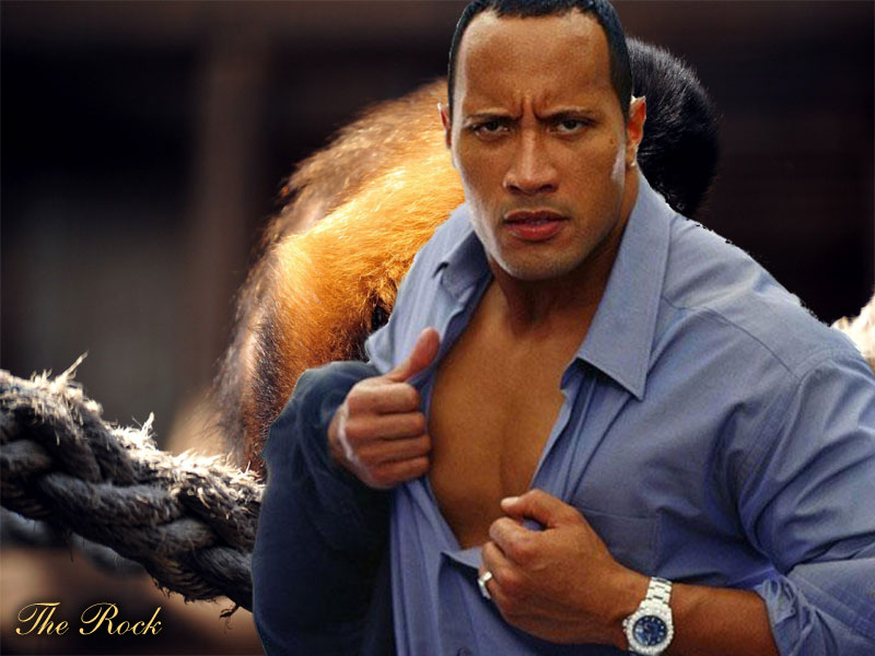 the rock 2014 pictures | Desktop Backgrounds for Free HD Wallpaper ...