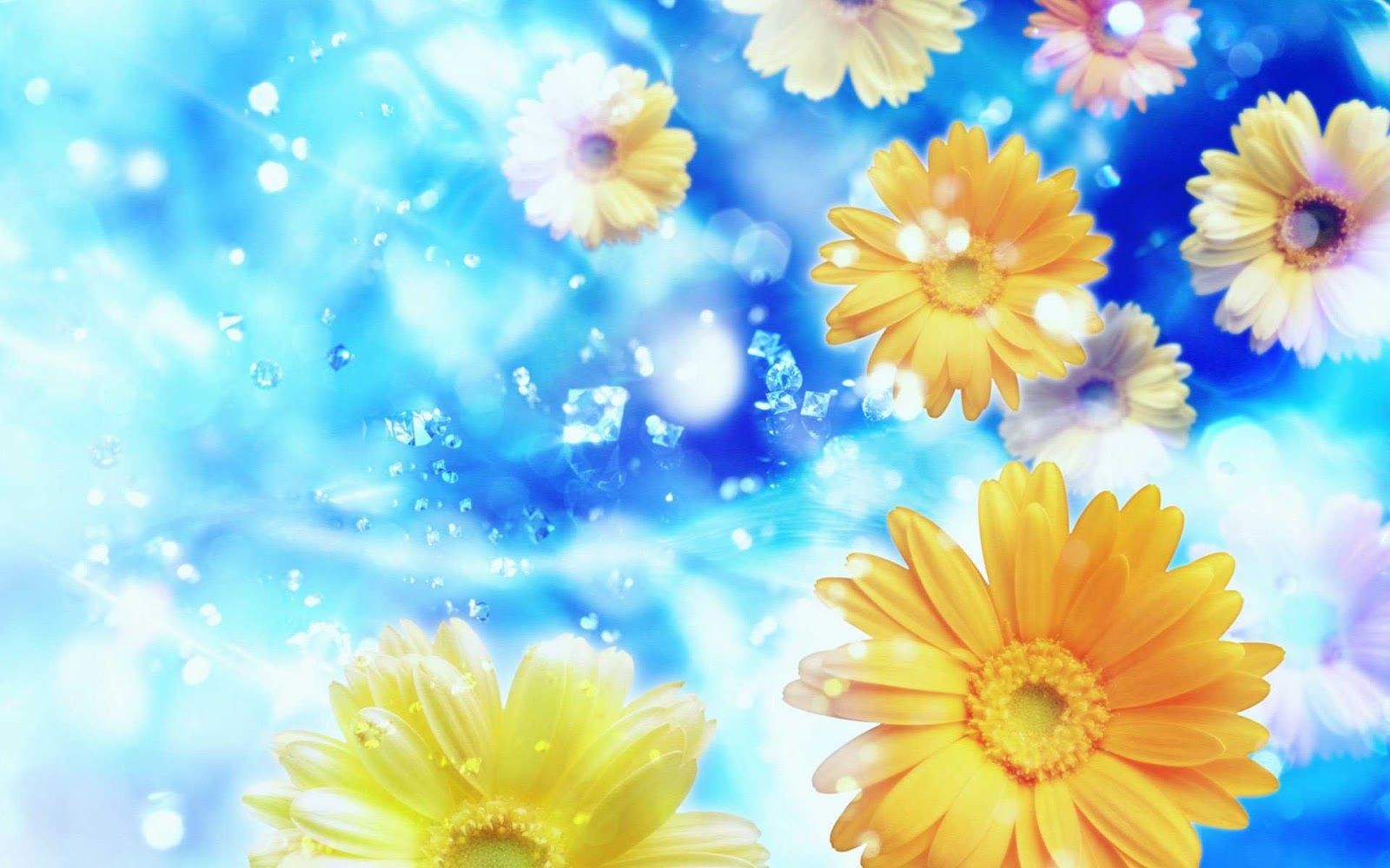 Yellow-Flowers.jpg