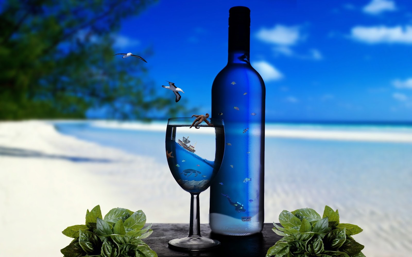 Drinks hd wallpapers, high definition free wallpapers Amazing