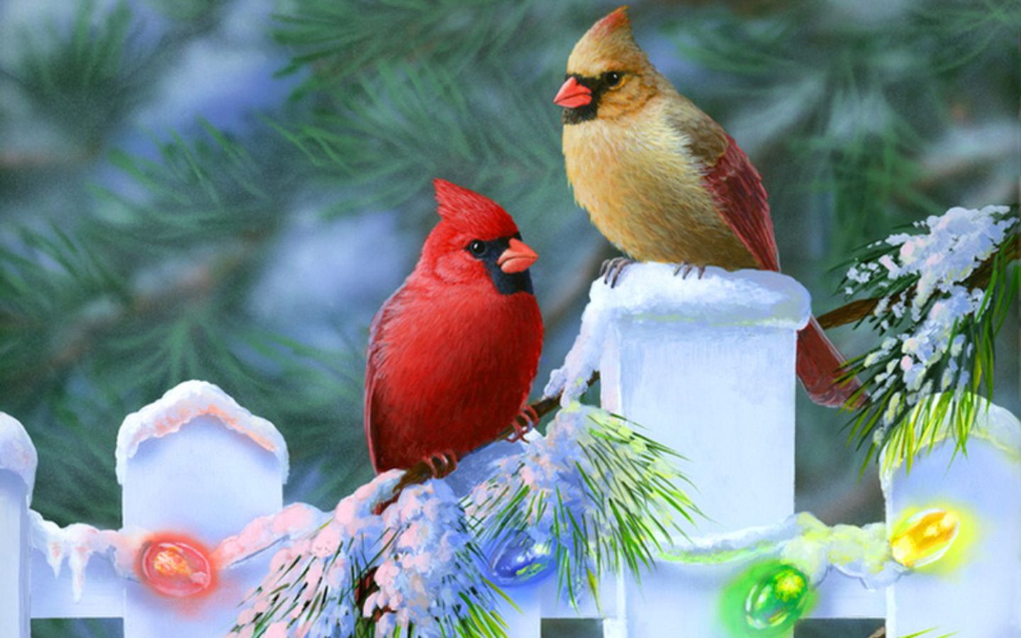 Winter Cardinal Bird Wallpaper Free Download 3872 - HD Wallpapers Site