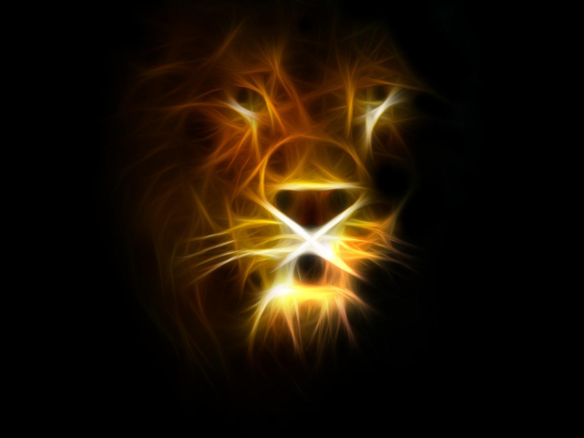 Lion Abstract HD PC Wallpapers 3269 - HD Wallpapers Site