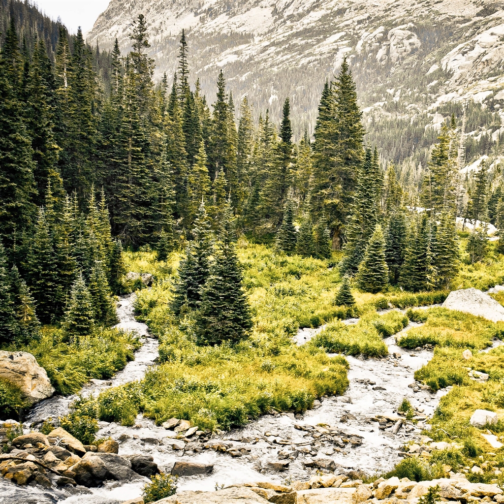 Rocky Mountain Overcast iPad Air Wallpaper Download | iPhone ...