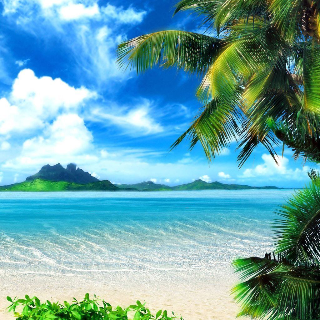 Ipad Mini Hd Summer Tropical Beach Wallpaper - HD Landscape ...
