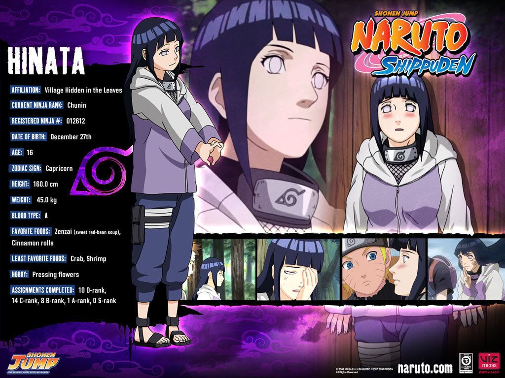 hinata's profile wallpaper - Naruto Shippuuden Wallpaper (9312361 ...