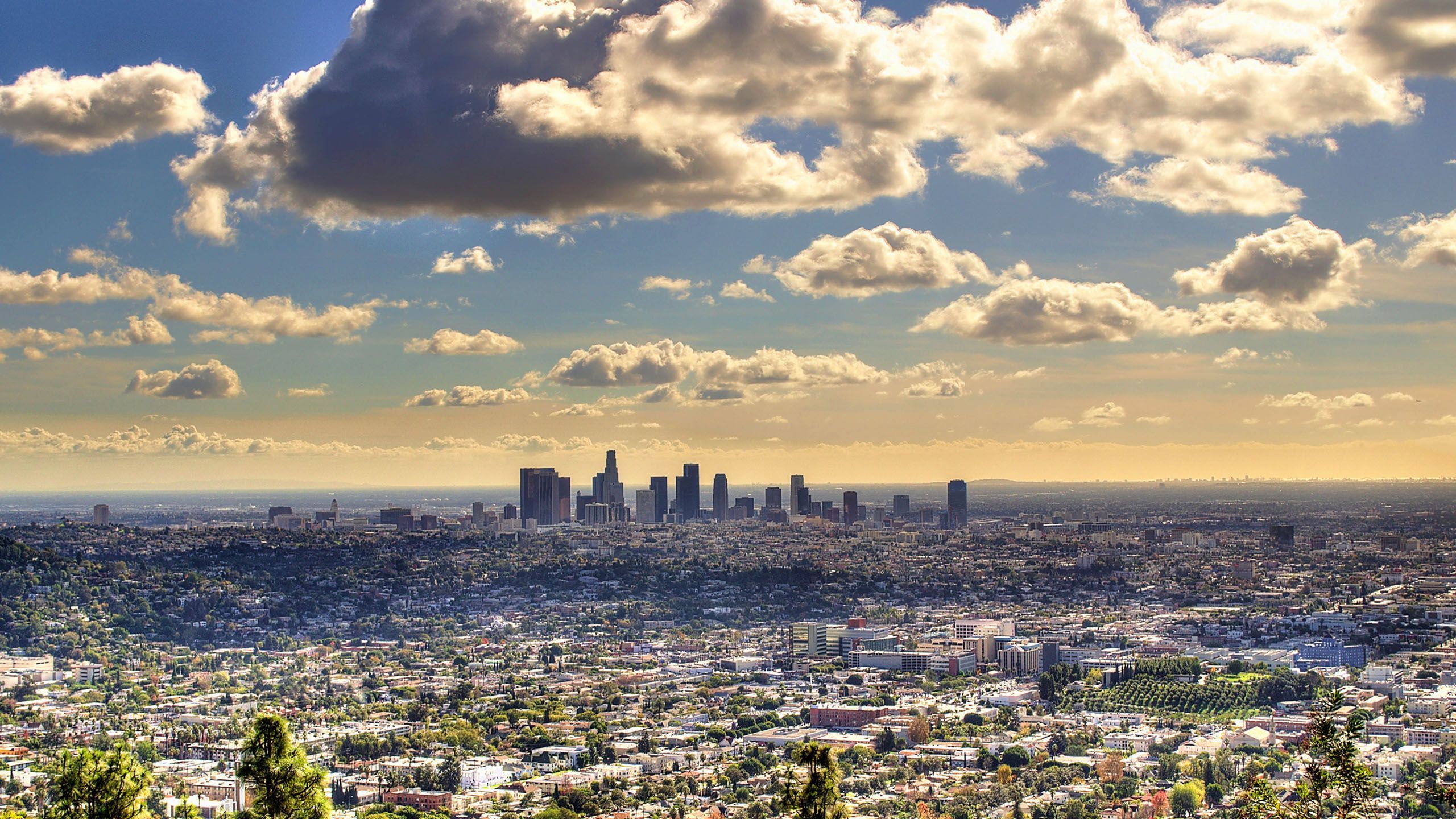Los Angeles Skyline - wallpaper