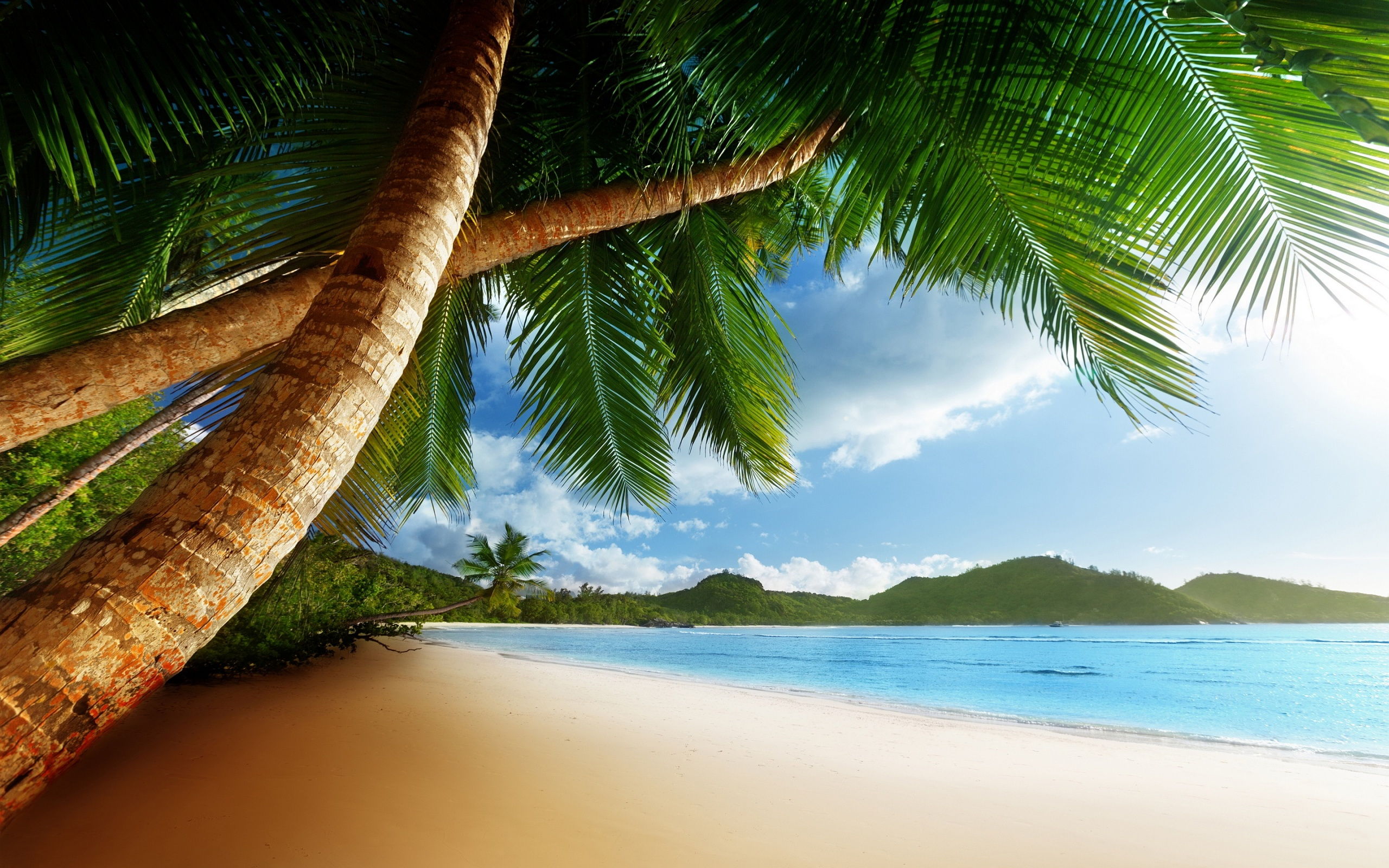 Awesome, Caribbean, Backgrounpictures, New, Best, Hwallpaper, Of ...