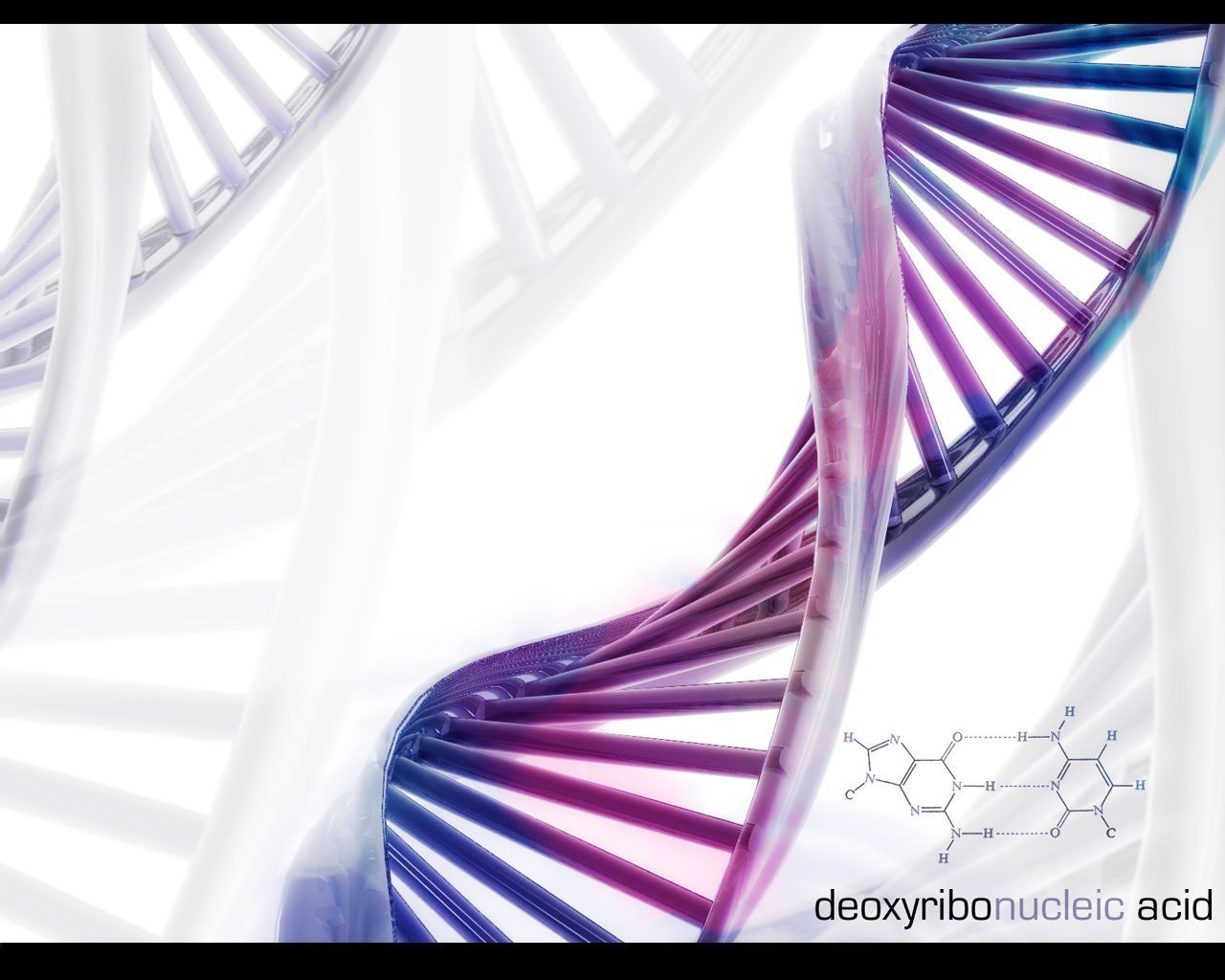 Download Dna Science Free Wallpaper 1280x1024 | Full HD Wallpapers