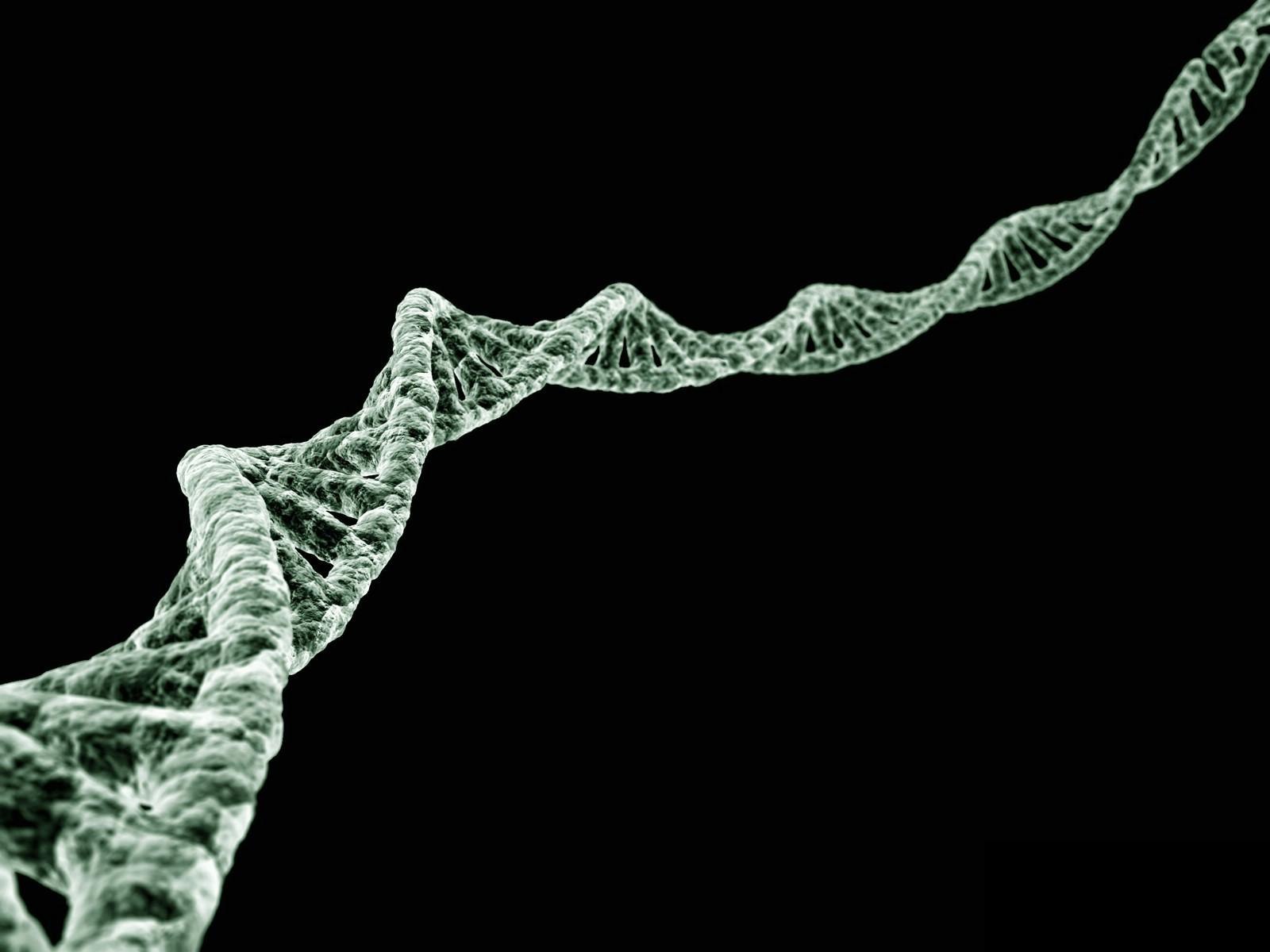 Dna wallpaper 1600x1200 - (#39455) - High Quality and Resolution ...