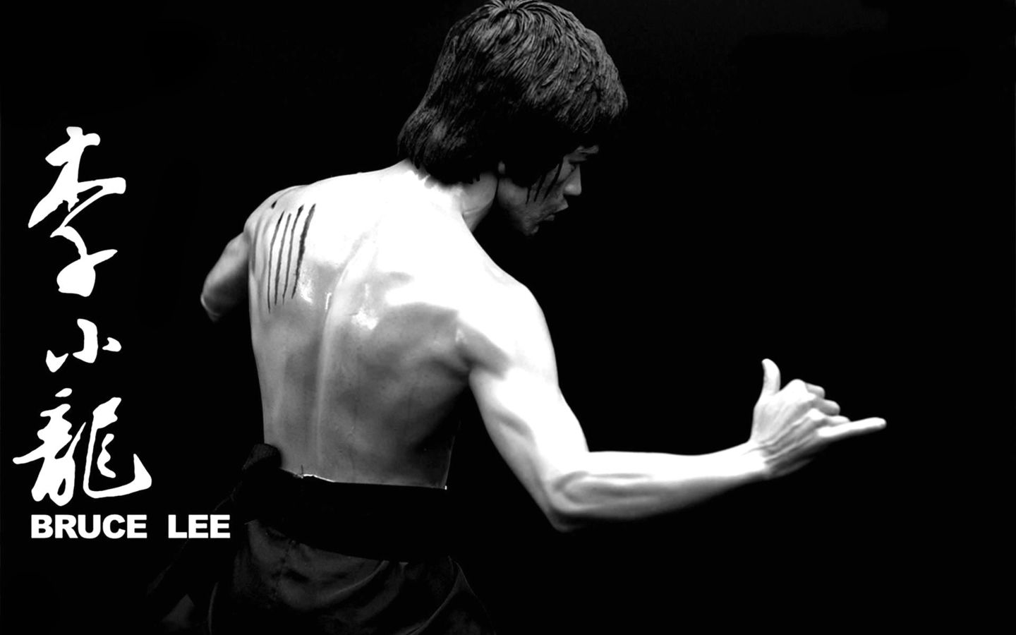 31 Bruce Lee HD Wallpapers | Backgrounds - Wallpaper Abyss