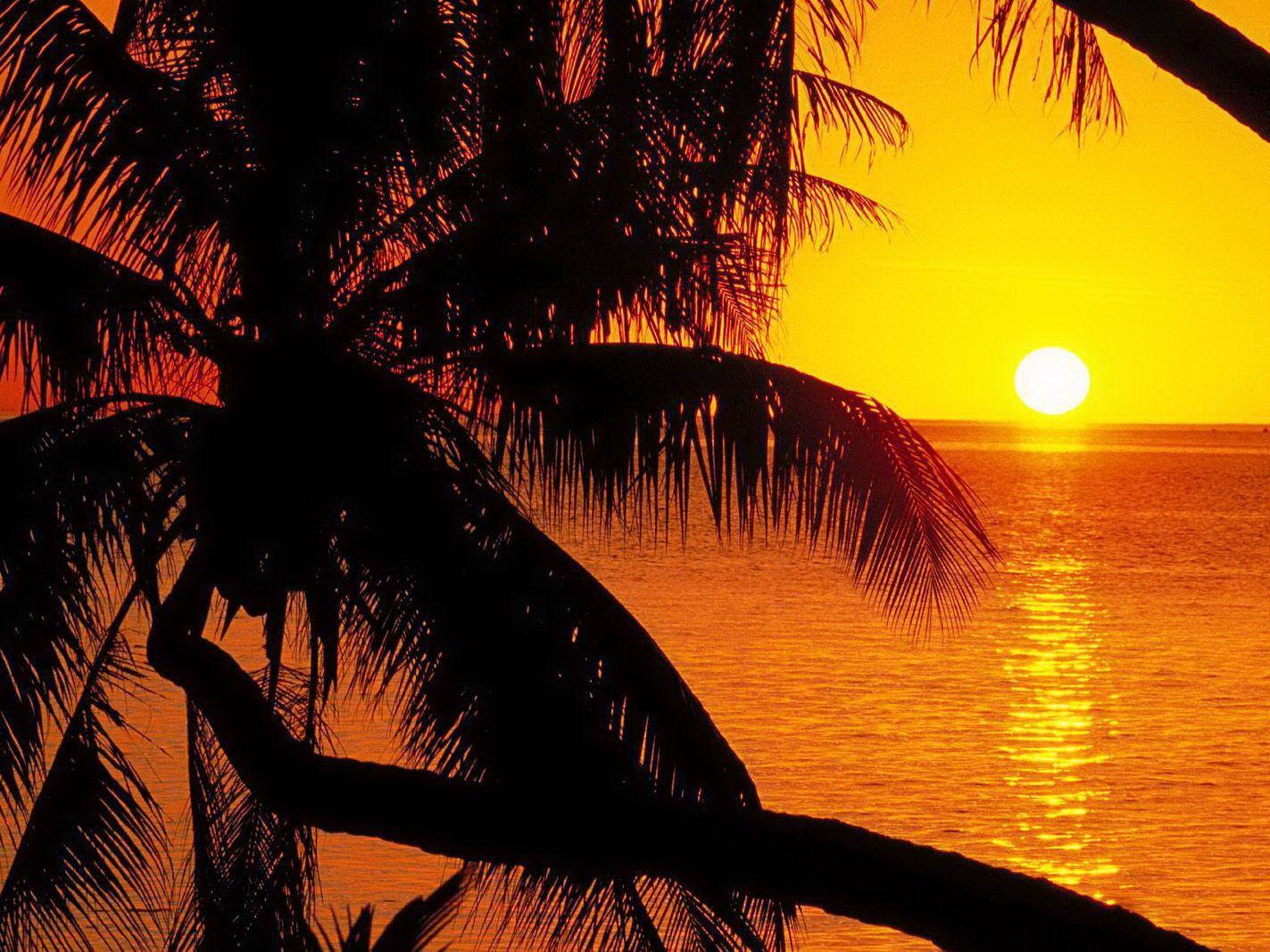 Polynesian Sunset Summer Background Free Desktop Background Free ...