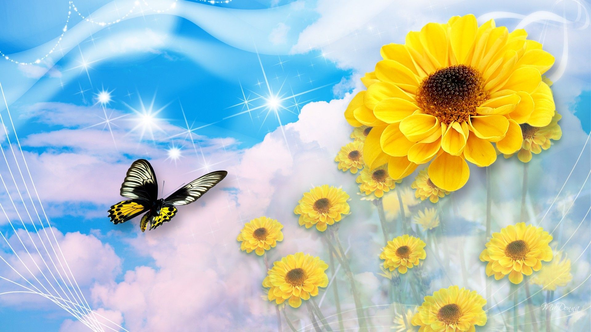 Summer Sky Dream HD Desktop Background - Funny And Amazing Wallpapers.