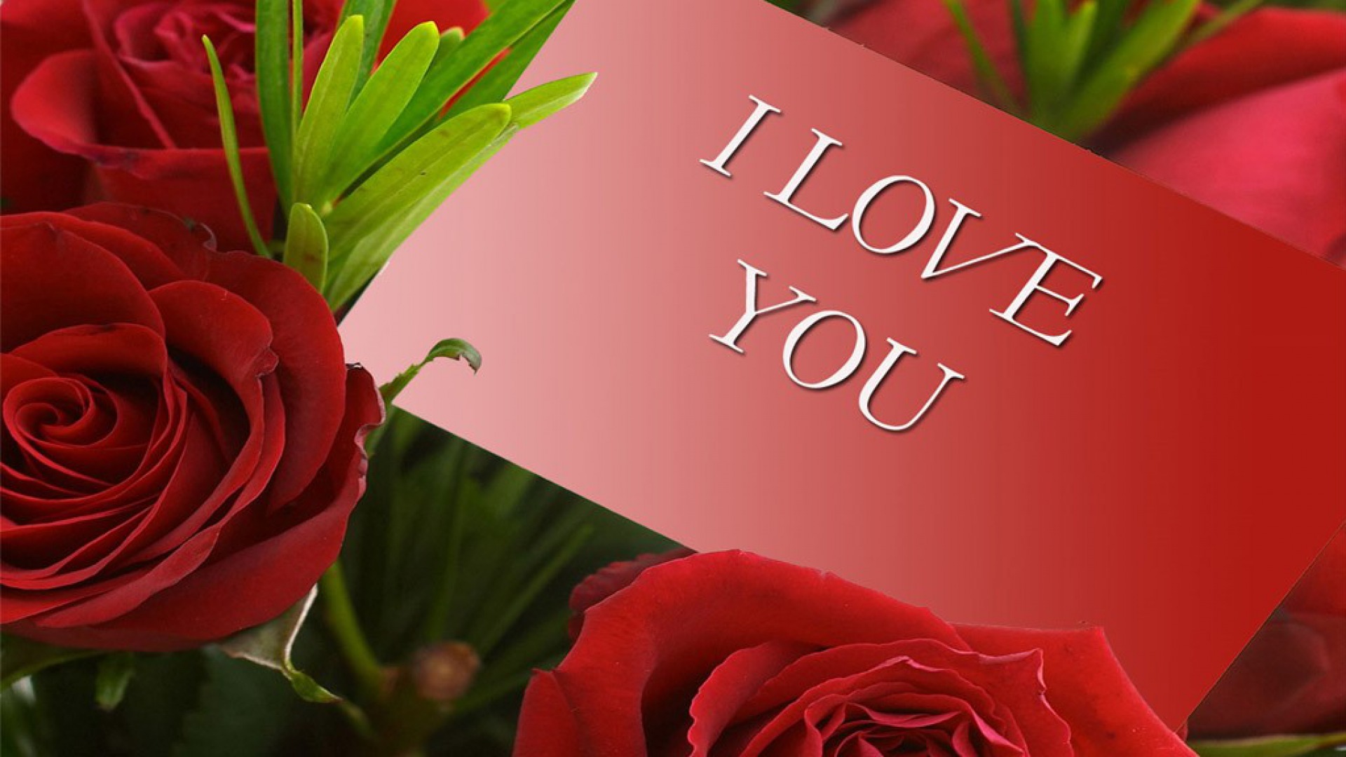 High Resolution I Love You Wallpaper Free Download Full Size ...