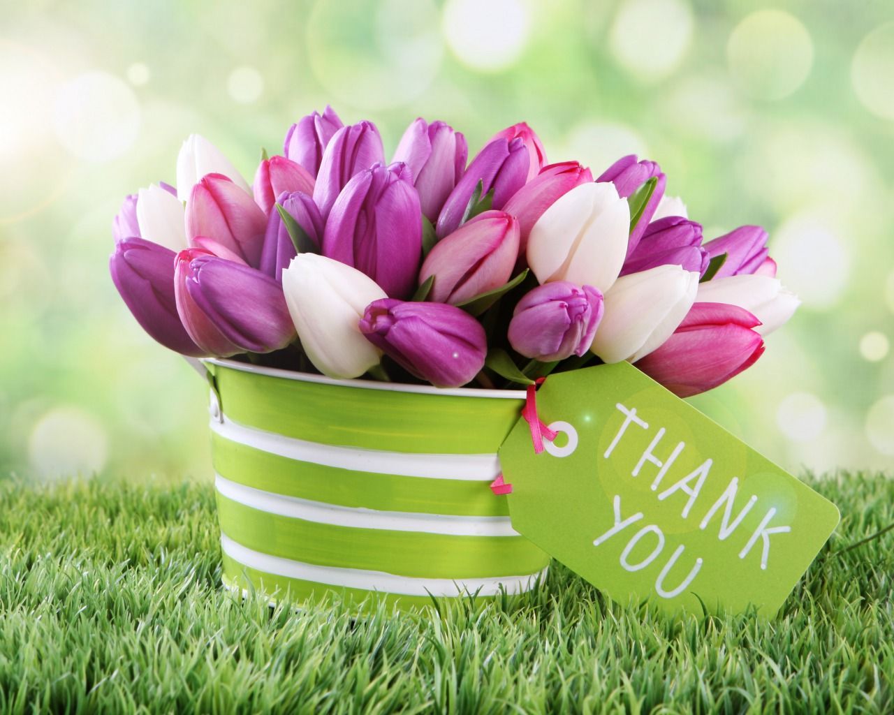 Thank You With flower HD Image Wallpaper free pics