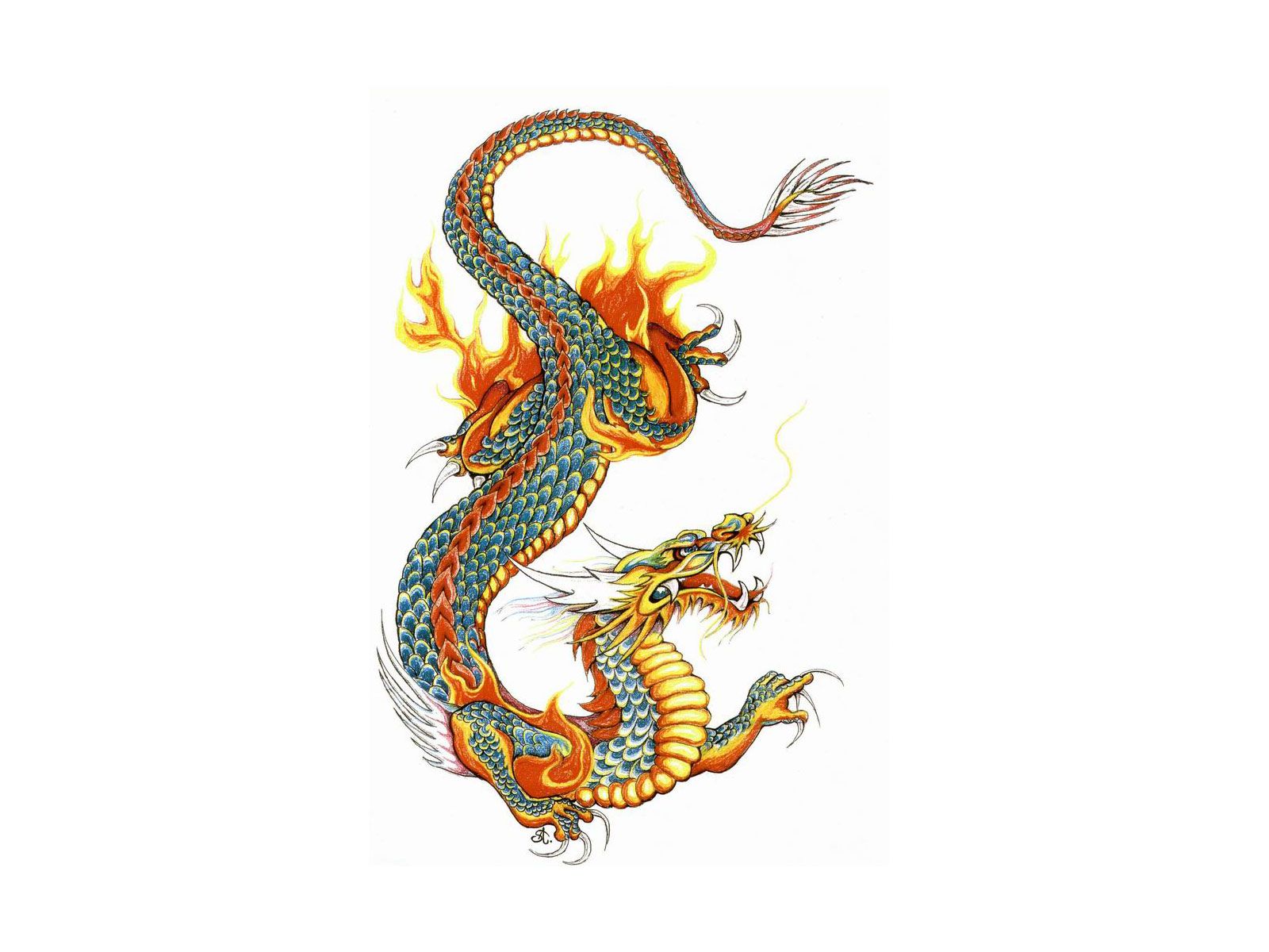 Free Designs Japanese Colored Dragon Tattoo Wallpaper Resolution