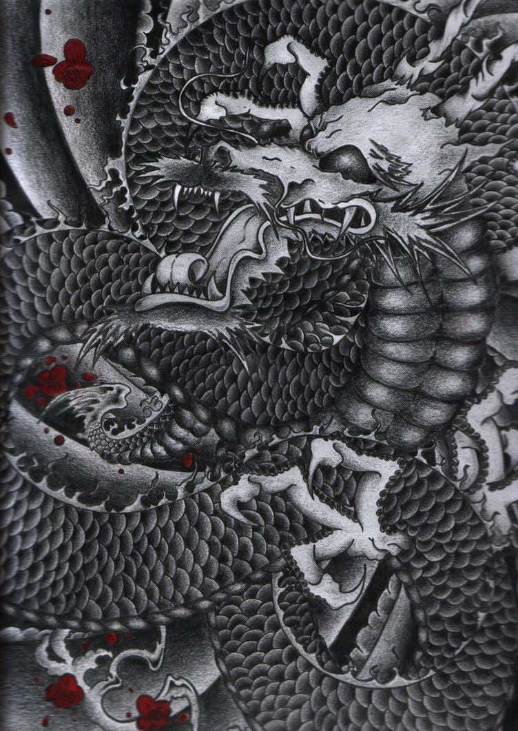 japanese dragon by Shane0205 on DeviantArt