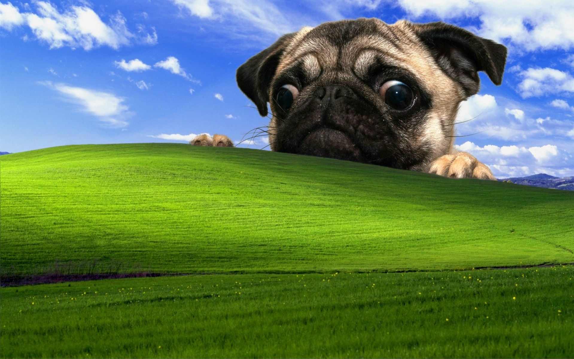 Windows XP HD Images Wallpapers 2948 - HD Wallpapers Site