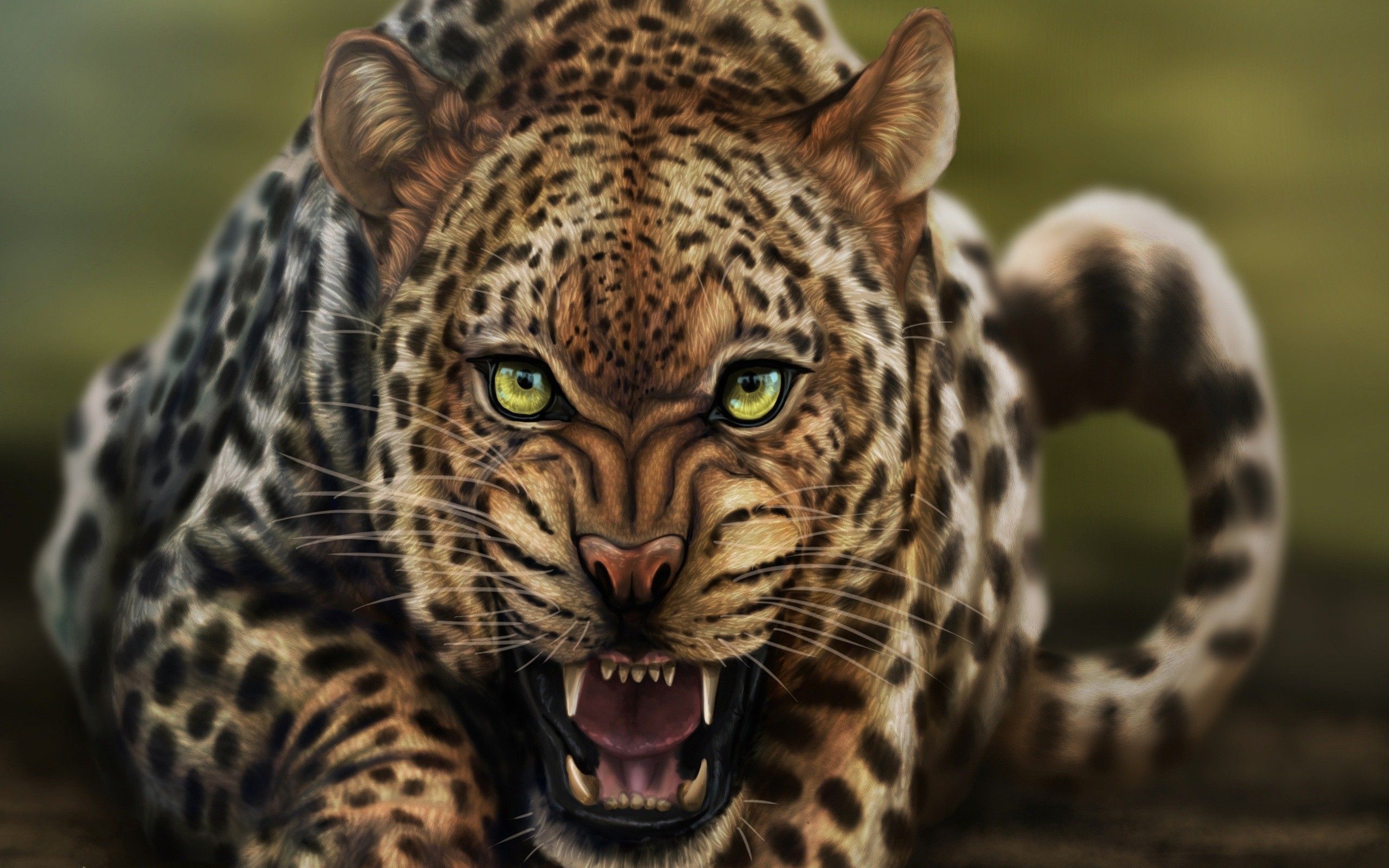 Angry Wild Leopard Animal HD Desktop Wallpaper Background HD