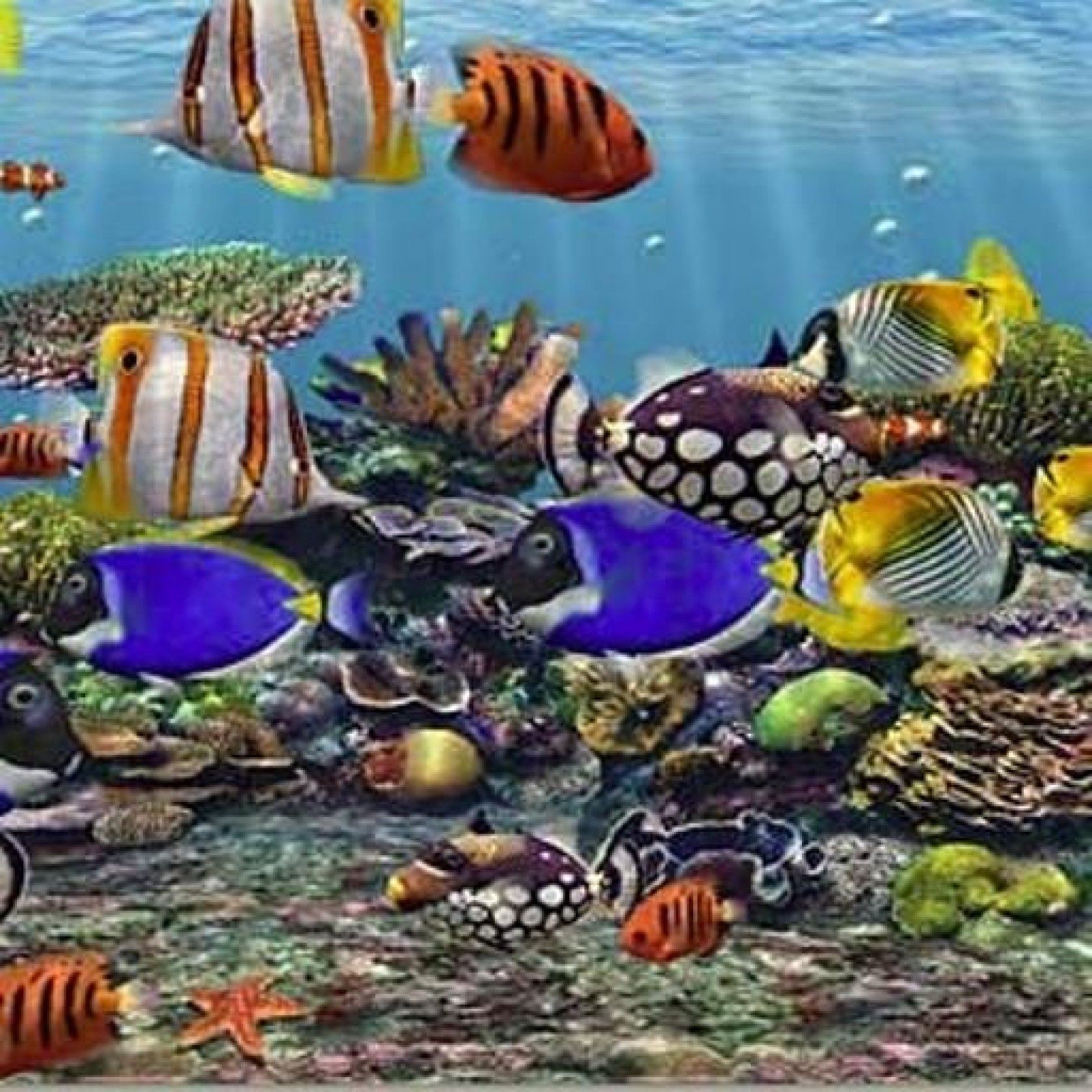 Fish tank live hd wallpaper free download for pc