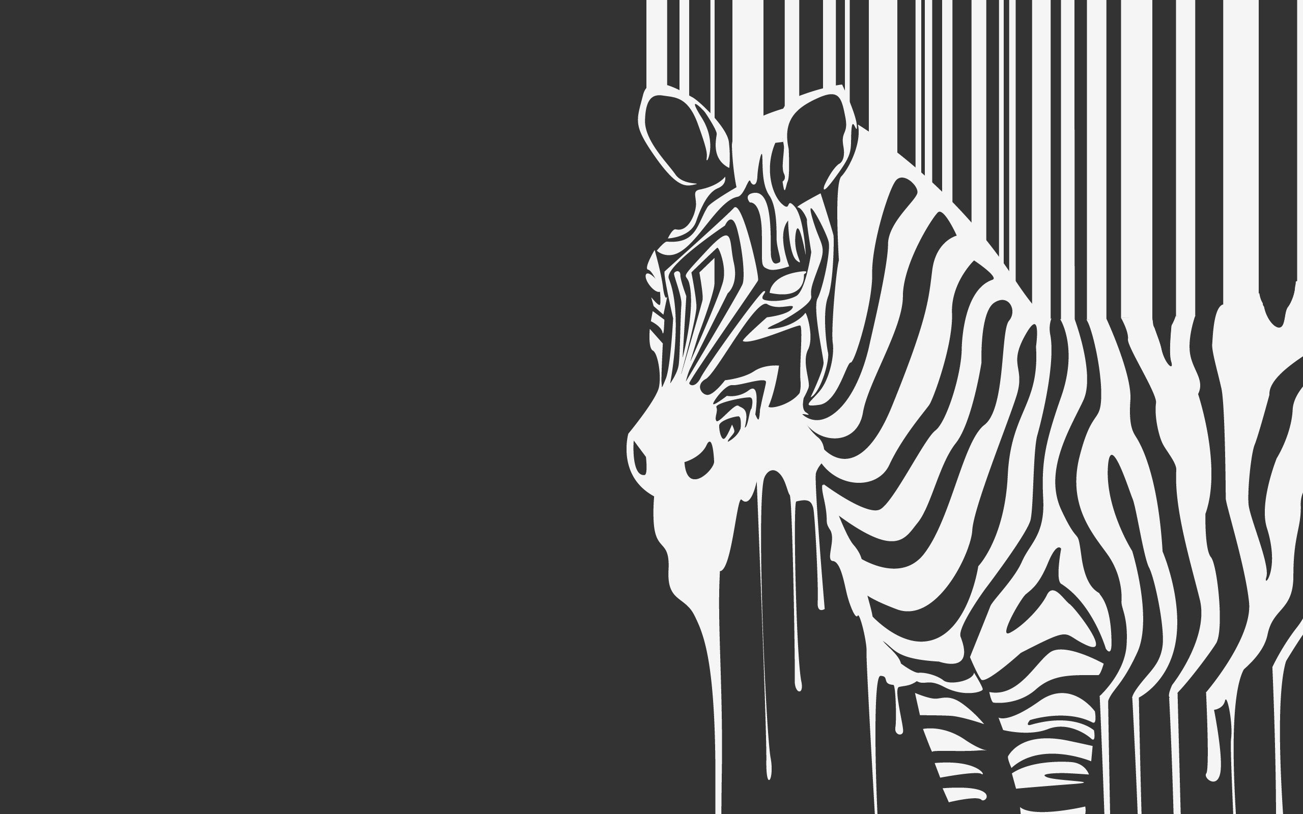 Zebra Desktop Wallpapers HD
