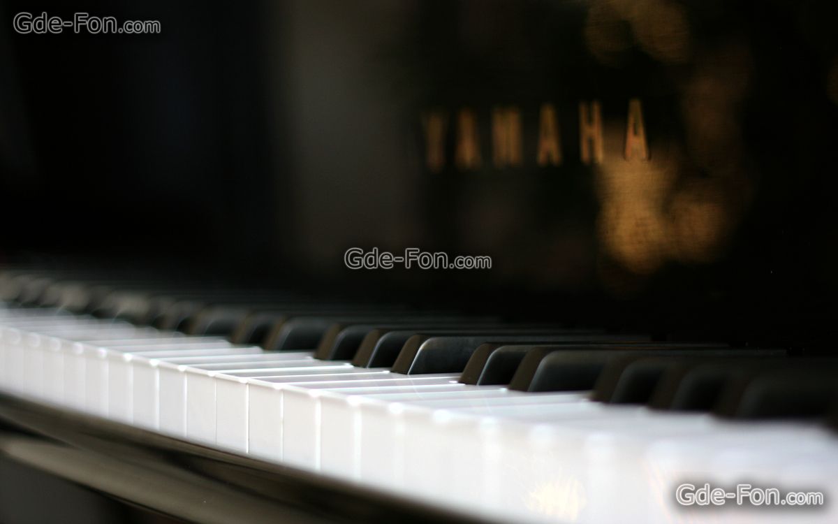 72745 pianino makro oboi 1920x1200 www.Gde Fon.com