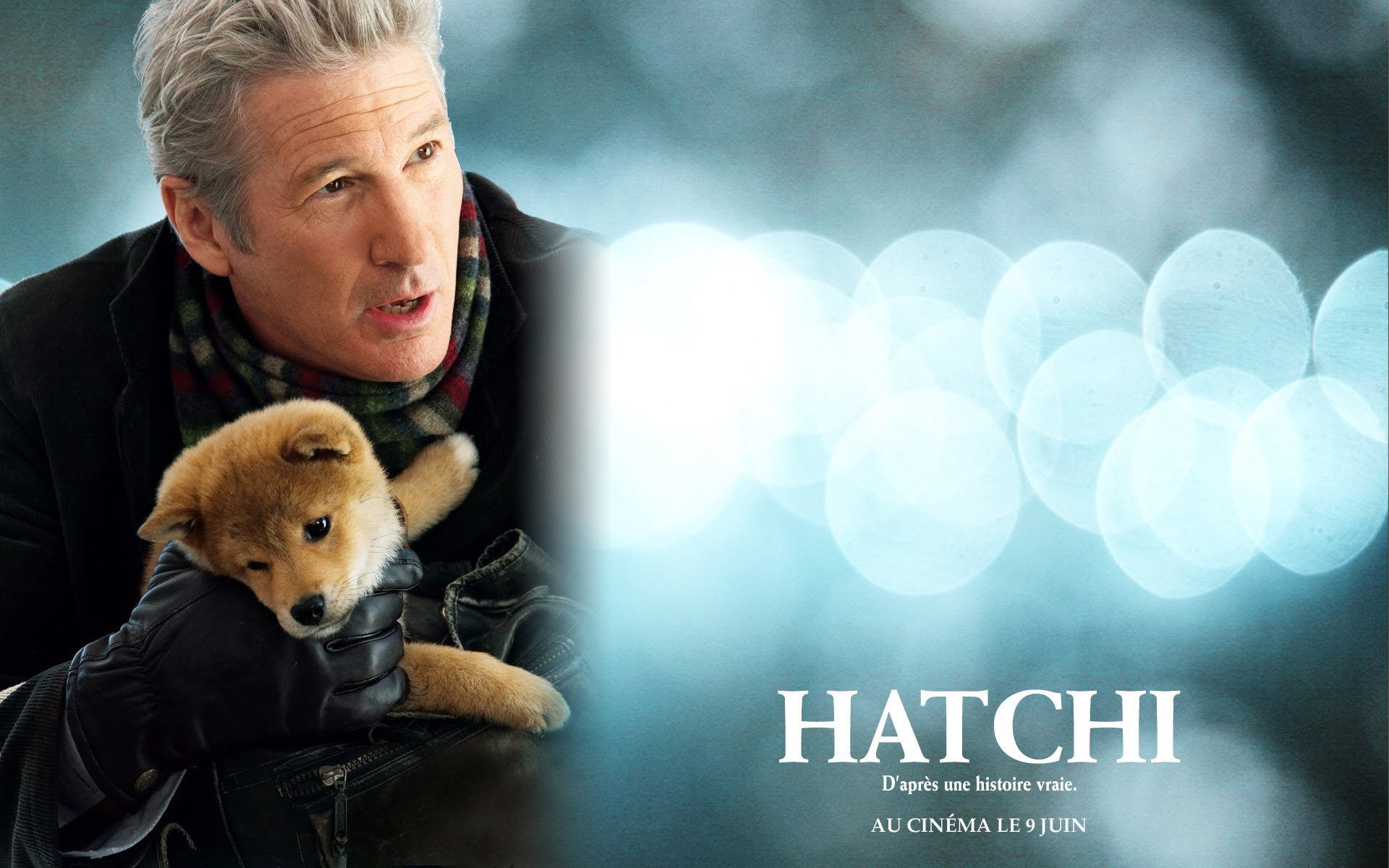 Hachi A Dogs Tale Wallpapers Just Good Vibe