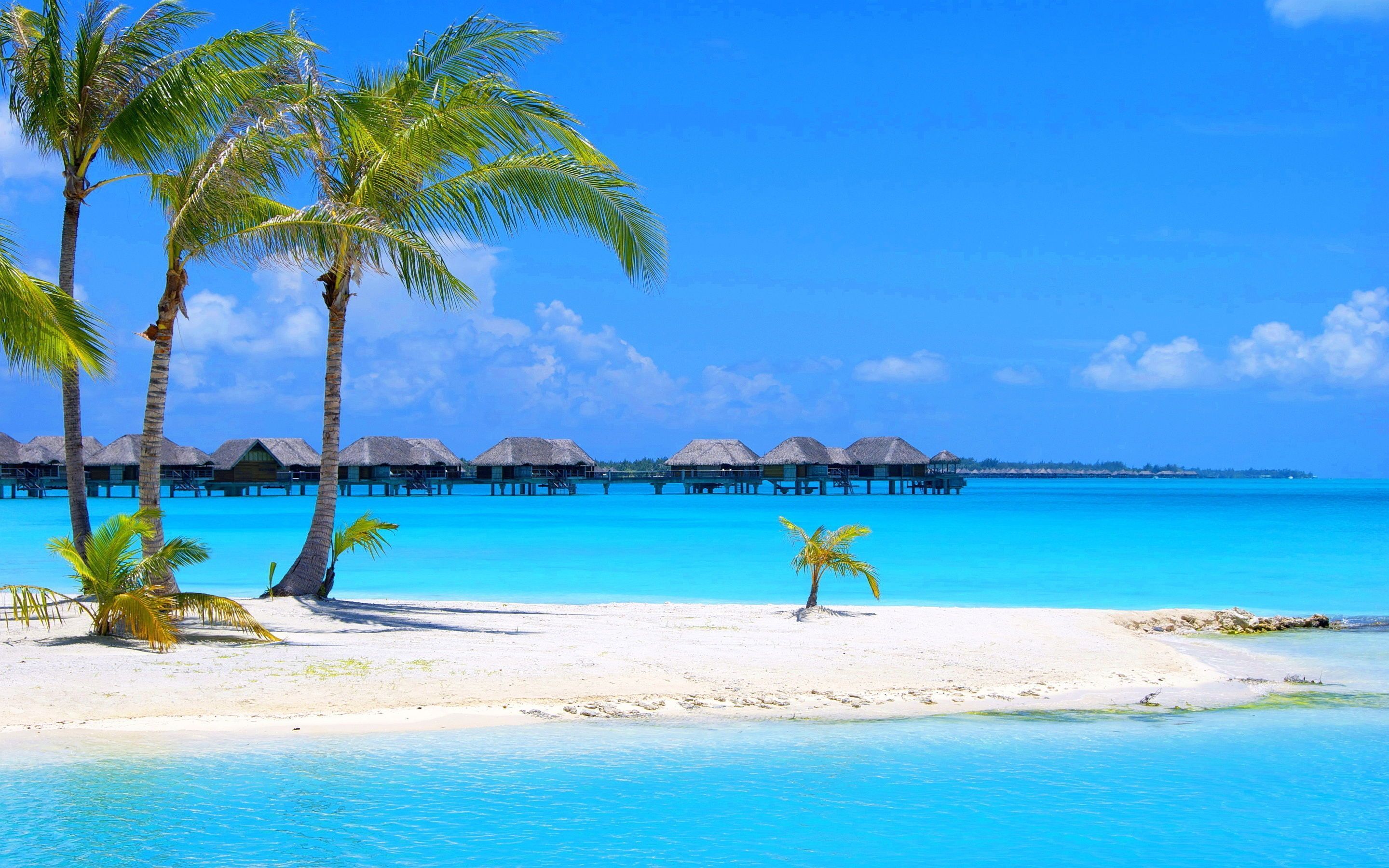 Most beautiful beach hd wallpaper download beach images free PC