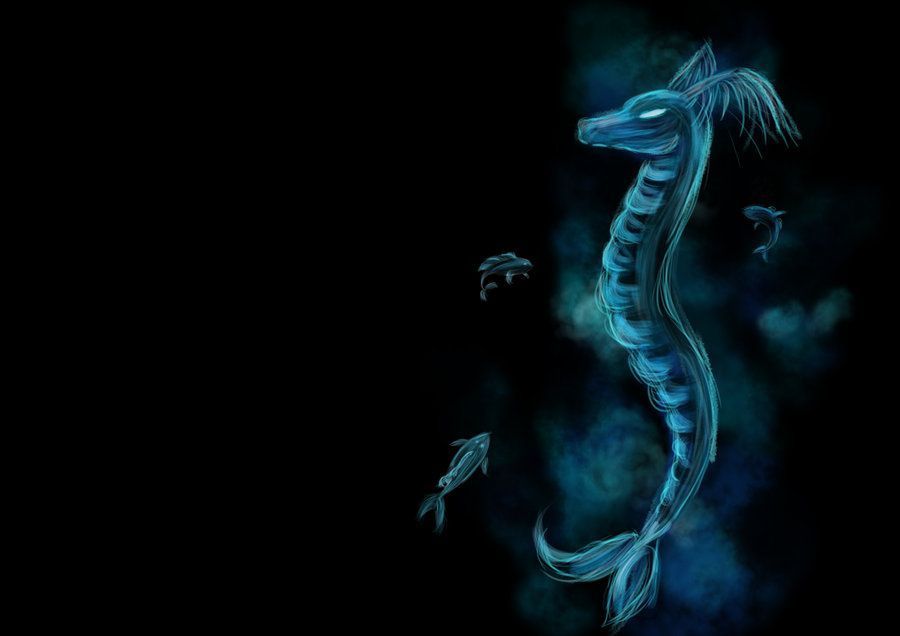 DeviantArt: More Like water dragon background by Andmich