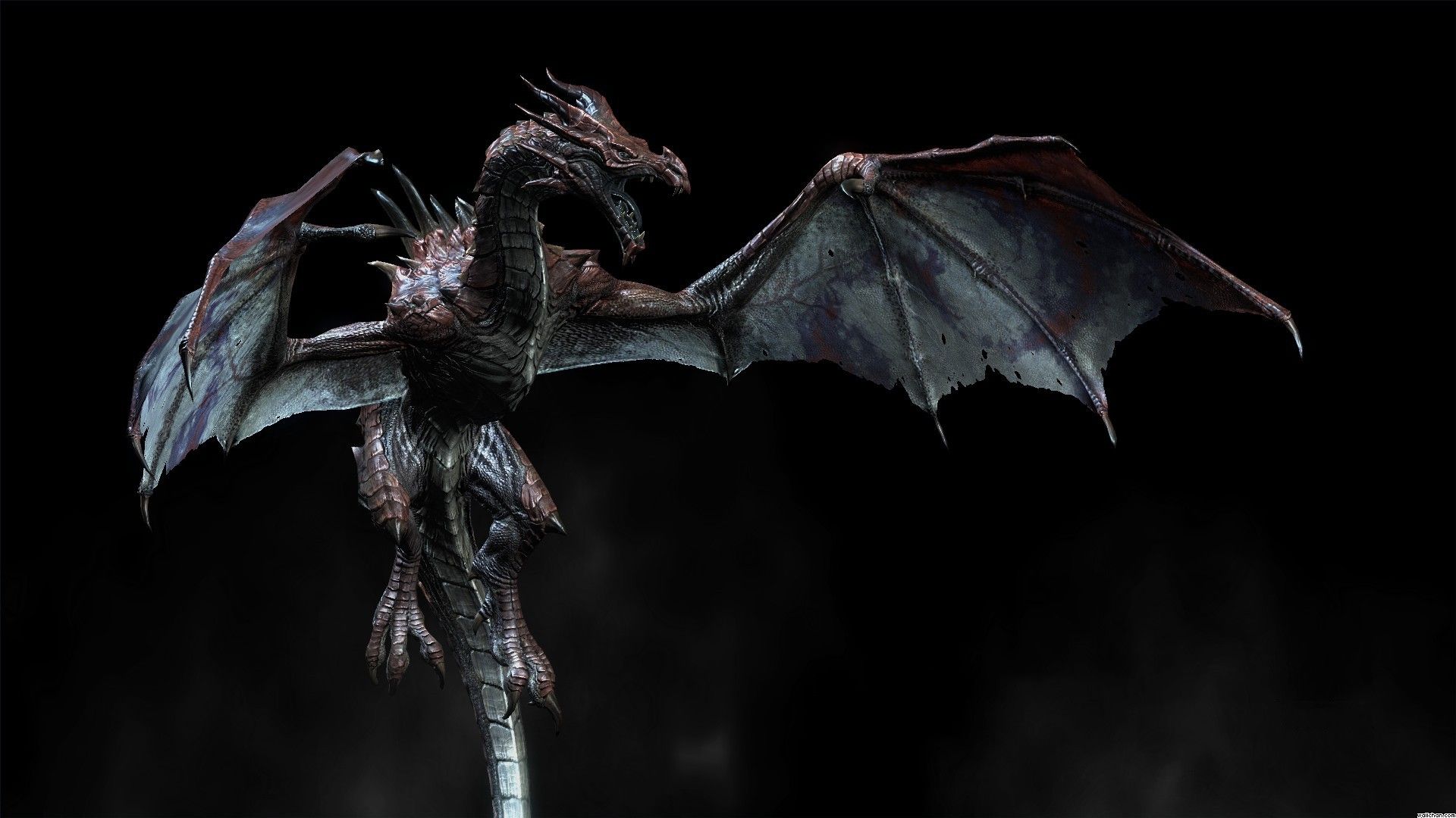 Skyrim Dragon Background High Definition Wallpaper Your Top HD ...