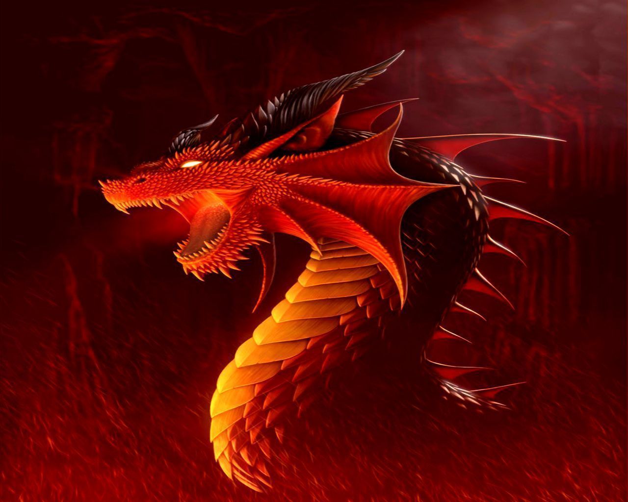 Dragon Backgrounds