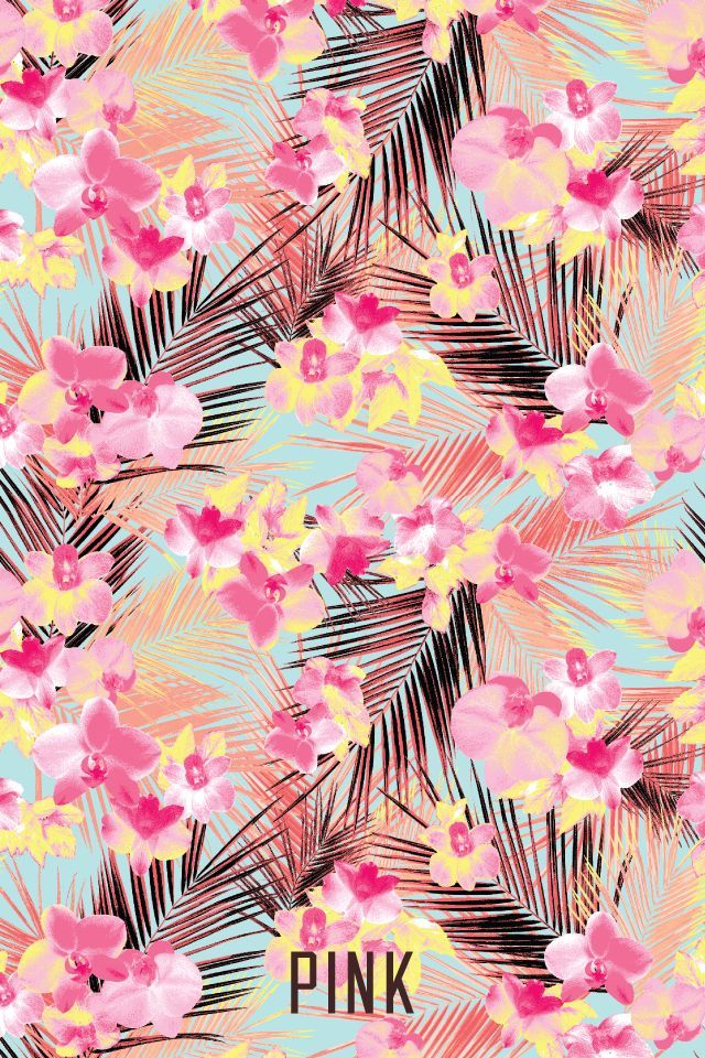 Pink Wallpapers Tumblr Group 76