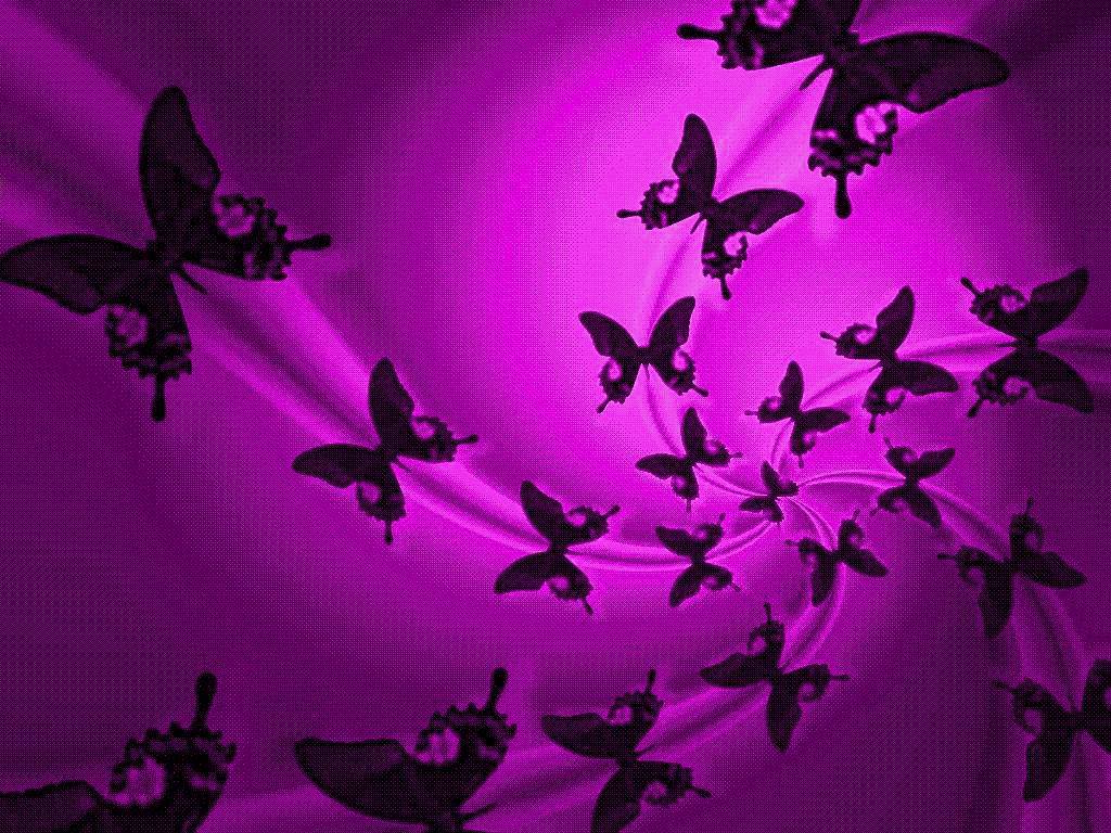 Purple Butterflies Wallapper Sky HD Wallpaper