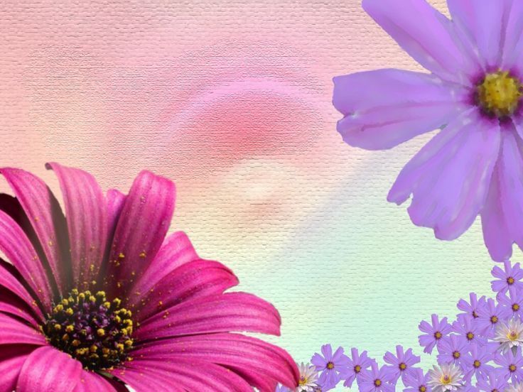 Pink And Purple Flowers | pink and purple flower theme - Cute ...